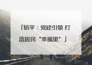 镇平：党建引领 打造居民“幸福里”