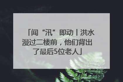 闻“汛”即动丨洪水漫过二楼前，他们背出了最后5位老人