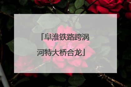 阜淮铁路跨涡河特大桥合龙
