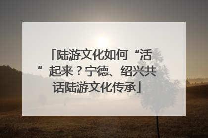 陆游文化如何“活 ”起来？宁德、绍兴共话陆游文化传承