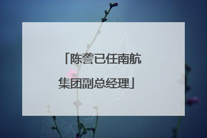 陈詟已任南航集团副总经理