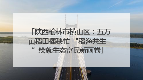 陕西榆林市横山区：五万亩稻田插秧忙 “稻渔共生”绘就生态富民新画卷
