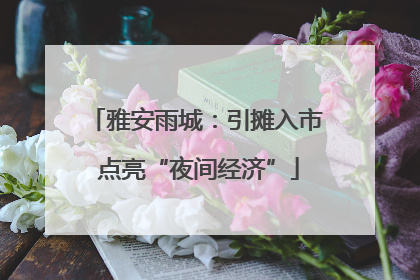 雅安雨城：引摊入市 点亮“夜间经济”
