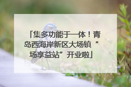 集多功能于一体！青岛西海岸新区大场镇“场享益站”开业啦