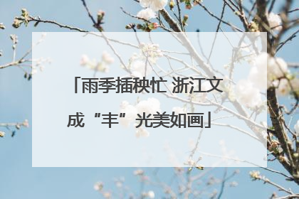 雨季插秧忙 浙江文成“丰”光美如画