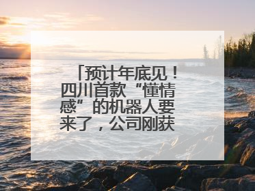 预计年底见！四川首款“懂情感”的机器人要来了，公司刚获数千万元融资
