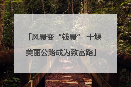 风景变“钱景” 十堰美丽公路成为致富路