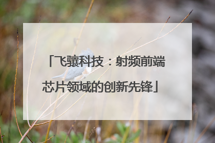 飞骧科技：射频前端芯片领域的创新先锋