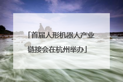 首届人形机器人产业链接会在杭州举办