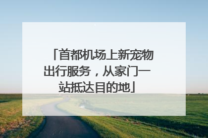 首都机场上新宠物出行服务，从家门一站抵达目的地