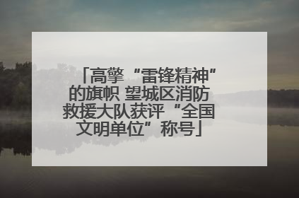 高擎“雷锋精神”的旗帜 望城区消防救援大队获评“全国文明单位”称号