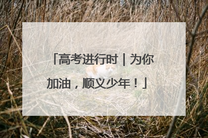 高考进行时｜为你加油，顺义少年！