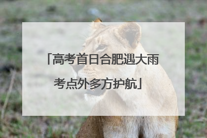 高考首日合肥遇大雨 考点外多方护航