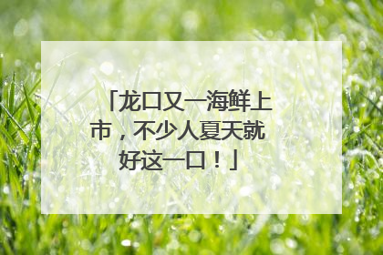 龙口又一海鲜上市，不少人夏天就好这一口！