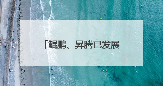 鲲鹏、昇腾已发展超665万开发者，今年将进一步开放