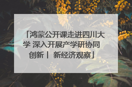 鸿蒙公开课走进四川大学 深入开展产学研协同创新丨 新经济观察