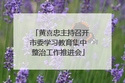 黄喜忠主持召开市委学习教育集中整治工作推进会
