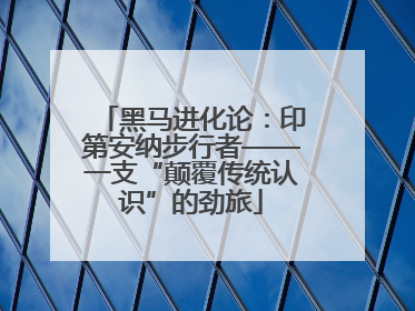 黑马进化论：印第安纳步行者——一支“颠覆传统认识”的劲旅