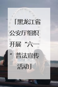 黑龙江省公安厅组织开展“六一”普法宣传活动