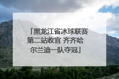 黑龙江省冰球联赛第二站收官 齐齐哈尔兰迪一队夺冠