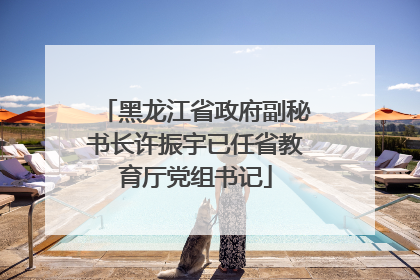 黑龙江省政府副秘书长许振宇已任省教育厅党组书记