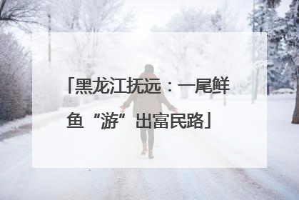 黑龙江抚远：一尾鲜鱼“游”出富民路
