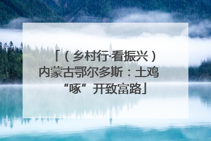 （乡村行·看振兴）内蒙古鄂尔多斯：土鸡“啄”开致富路