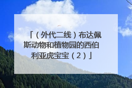 （外代二线）布达佩斯动物和植物园的西伯利亚虎宝宝（2）