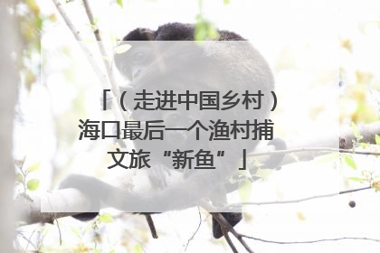 （走进中国乡村）海口最后一个渔村捕文旅“新鱼”