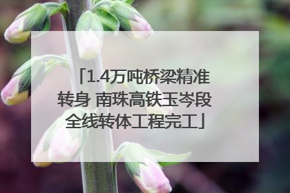 1.4万吨桥梁精准转身 南珠高铁玉岑段全线转体工程完工