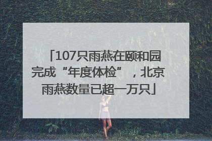 107只雨燕在颐和园完成“年度体检”，北京雨燕数量已超一万只