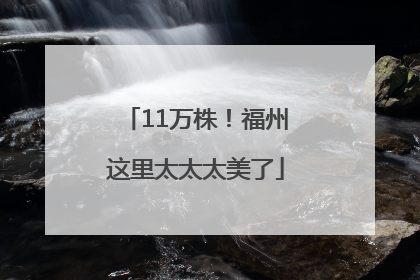11万株！福州这里太太太美了