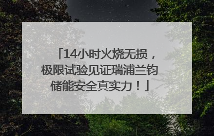 14小时火烧无损，极限试验见证瑞浦兰钧储能安全真实力！