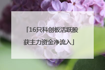 16只科创板活跃股获主力资金净流入