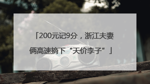 200元记9分，浙江夫妻俩高速摘下“天价李子”