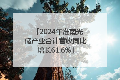 2024年淮南光储产业合计营收同比增长61.6%