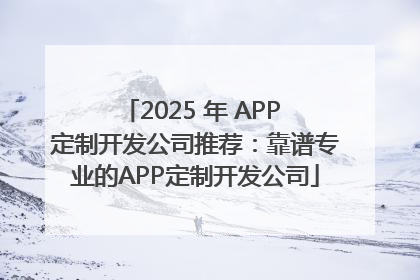 2025 年 APP 定制开发公司推荐：靠谱专业的APP定制开发公司