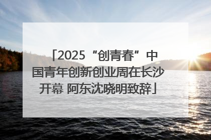 2025“创青春”中国青年创新创业周在长沙开幕 阿东沈晓明致辞