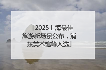2025上海最佳旅游新场景公布，浦东美术馆等入选