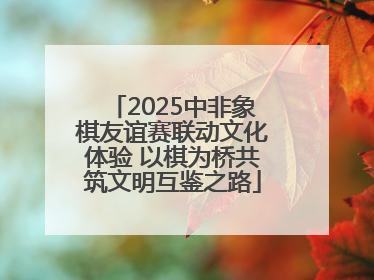 2025中非象棋友谊赛联动文化体验 以棋为桥共筑文明互鉴之路