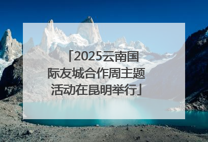 2025云南国际友城合作周主题活动在昆明举行