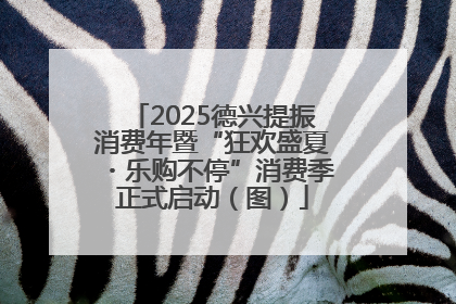 2025德兴提振消费年暨“狂欢盛夏・乐购不停”消费季正式启动（图）