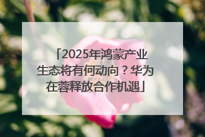 2025年鸿蒙产业生态将有何动向？华为在蓉释放合作机遇