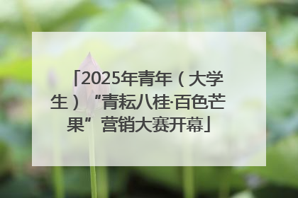 2025年青年（大学生）“青耘八桂·百色芒果”营销大赛开幕