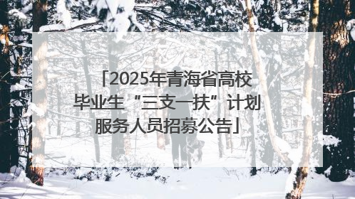 2025年青海省高校毕业生“三支一扶”计划服务人员招募公告