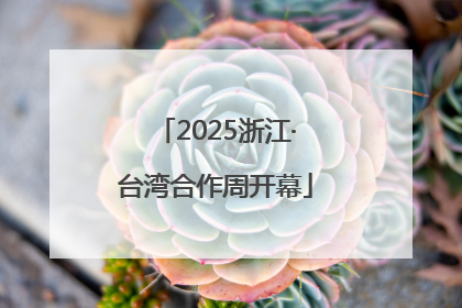 2025浙江·台湾合作周开幕