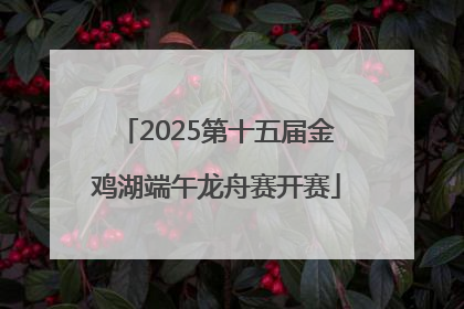 2025第十五届金鸡湖端午龙舟赛开赛