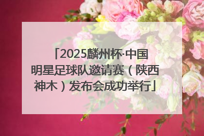 2025麟州杯·中国明星足球队邀请赛（陕西神木）发布会成功举行