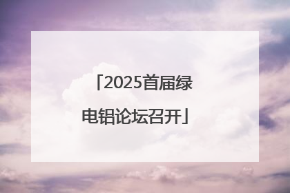2025首届绿电铝论坛召开