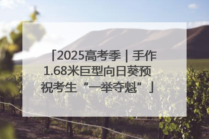 2025高考季｜手作1.68米巨型向日葵预祝考生“一举夺魁”